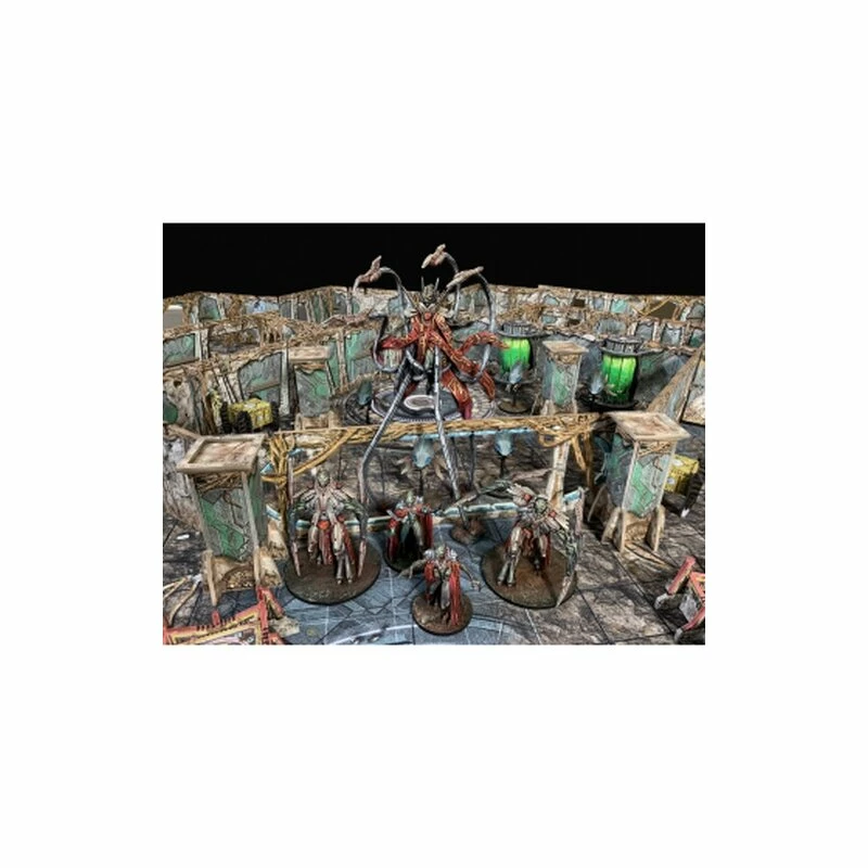 Core Space: Fury Of The Insane God Expansion (EN) 3 Core Space: Fury Of The Insane God Expansion (EN)