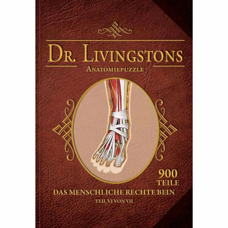 Dr. Livingstons Anatomiepuzzle: Das Rechte Bein Teil 6 (DE) 3 Dr. Livingstons Anatomiepuzzle: Das Rechte Bein Teil 6 (DE)