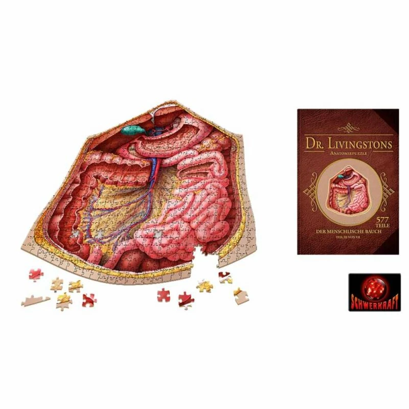 Dr. Livingstons Anatomiepuzzle: Der Menschliche Bauch Teil 3 (DE) 4 Dr. Livingstons Anatomiepuzzle: Der Menschliche Bauch Teil 3 (DE) – Bild 2