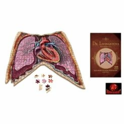 Dr. Livingstons Anatomiepuzzle: Der Menschliche Brustkorb Teil 2 (DE) -FANTASYWELT Verkäufe dr livingstons anatomiepuzzle der menschliche brustkorb teil 2 de2
