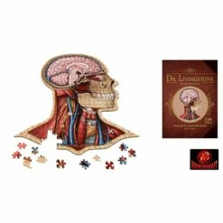 Dr. Livingstons Anatomiepuzzle: Der Menschliche Kopf Teil 1 (DE) *Mängelexemplar* 6 Dr. Livingstons Anatomiepuzzle: Der Menschliche Kopf Teil 1 (DE) *Mängelexemplar* -FANTASYWELT Verkäufe dr livingstons anatomiepuzzle der menschliche kopf teil 1 de maengelexemplar2