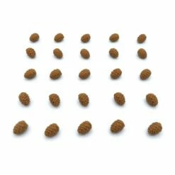 Nature Tokens For Cascadia – 25 Pieces