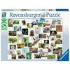 Ravensburger Puzzle: Funny Animals Collage (1500 Teile) -FANTASYWELT Verkäufe ravensburger puzzle funny animals collage 1500 teile