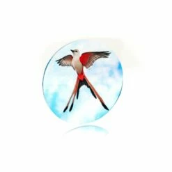 Wingspan/Flügelschlag + Expansions Token Set 10 Wingspan/Flügelschlag + Expansions Token Set -FANTASYWELT Verkäufe wingspan fluegelschlag expansions token set2