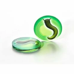 Wingspan/Flügelschlag + Expansions Token Set 14 Wingspan/Flügelschlag + Expansions Token Set -FANTASYWELT Verkäufe wingspan fluegelschlag expansions token set6