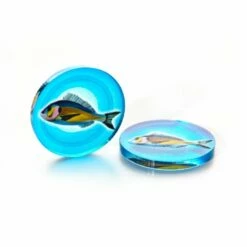 Wingspan/Flügelschlag + Expansions Token Set 15 Wingspan/Flügelschlag + Expansions Token Set -FANTASYWELT Verkäufe wingspan fluegelschlag expansions token set7